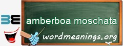 WordMeaning blackboard for amberboa moschata